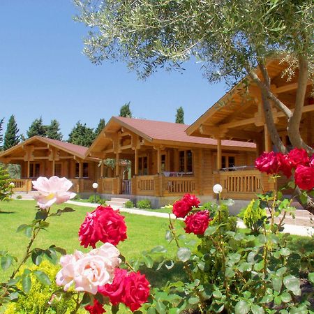 Sandy'S Studios Apartments & Log-Villas Kos Town Exterior photo