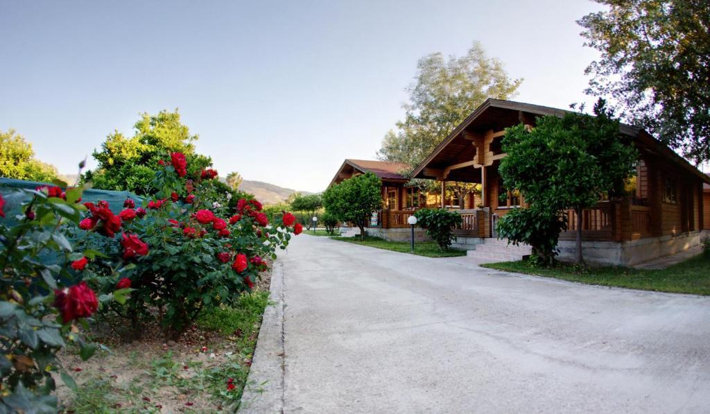Sandy'S Studios Apartments & Log-Villas Kos Town Exterior photo